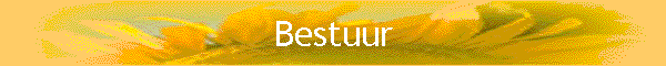 Bestuur